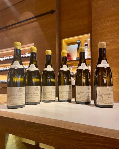 Les Caves de Taillevent Personalized Wine Journey