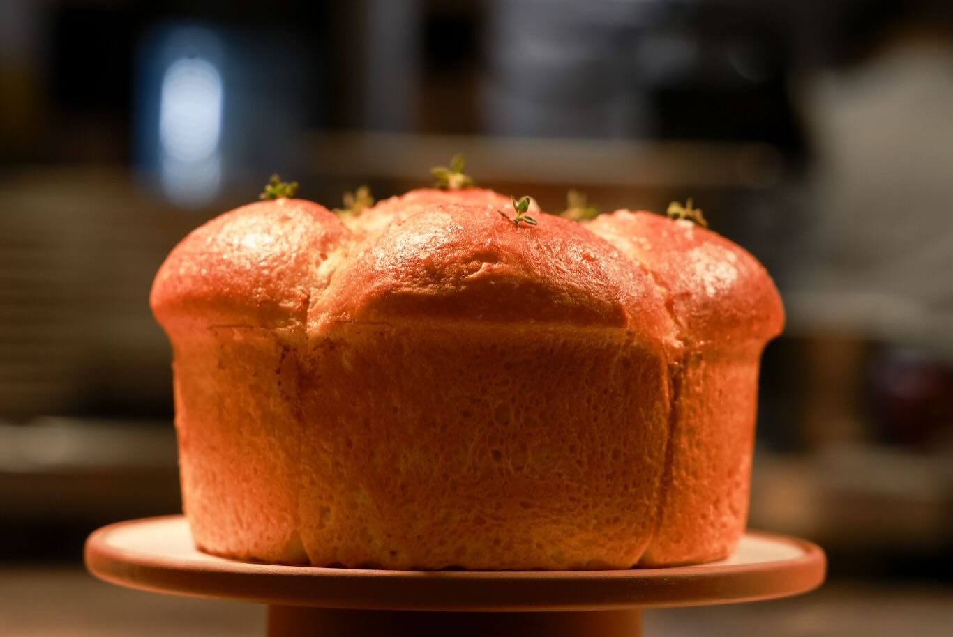 A Culinary Journey from Bar to Table at 74 Charlotte Street