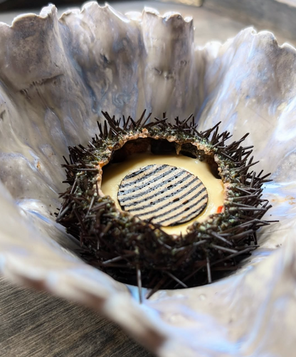 Chef’s Choice Tasting Menu at Michelin-Starred Accents Table Bourse