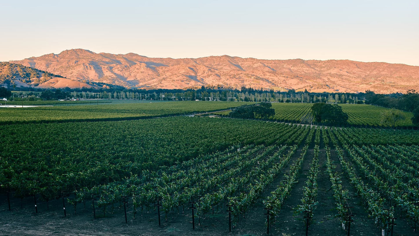 Dine with the Winemakers: An Insider's Napa Valley with Chris and Josh Phelps