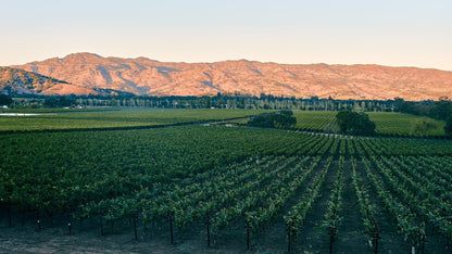Dine with the Winemakers: An Insider's Napa Valley with Chris and Josh Phelps