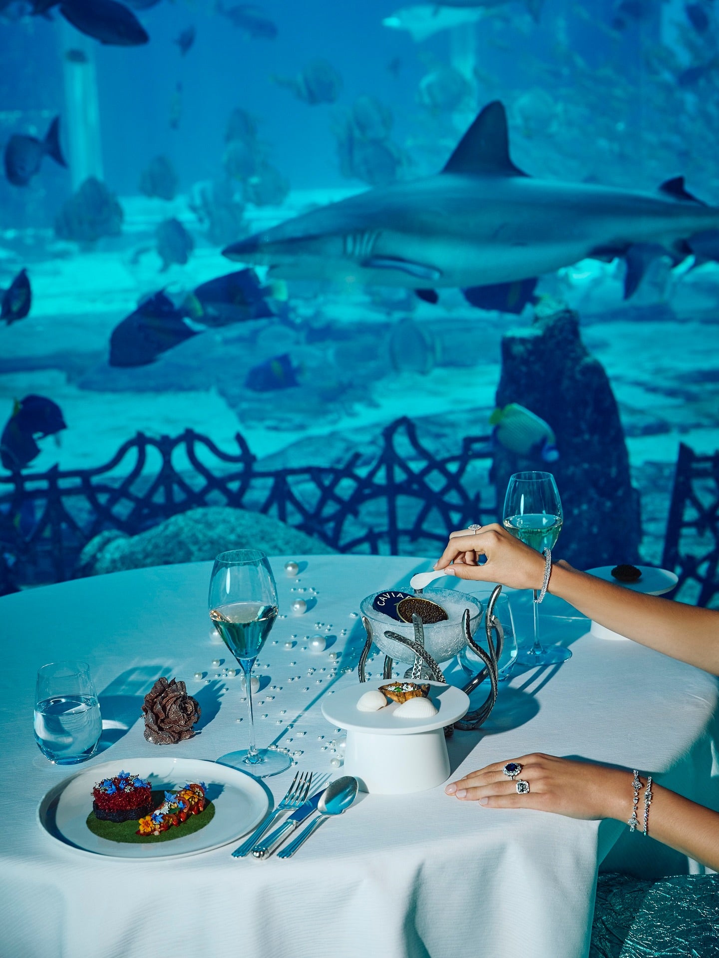 Michelin-starred Chef’s Tasting Menu with Kitchen Visit at Ossiano