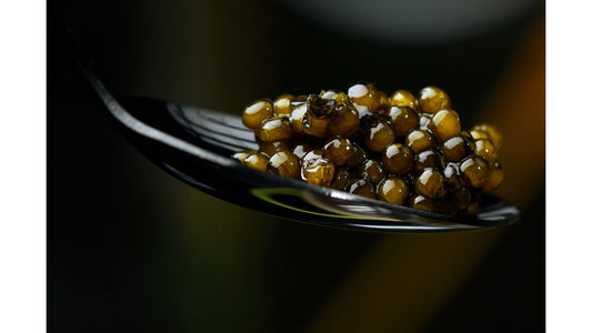 Expert Caviar Tasting with Champagne in New York