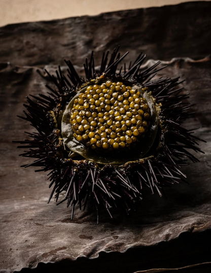 Chef’s Choice Tasting Menu at Michelin Two Star David Toutain