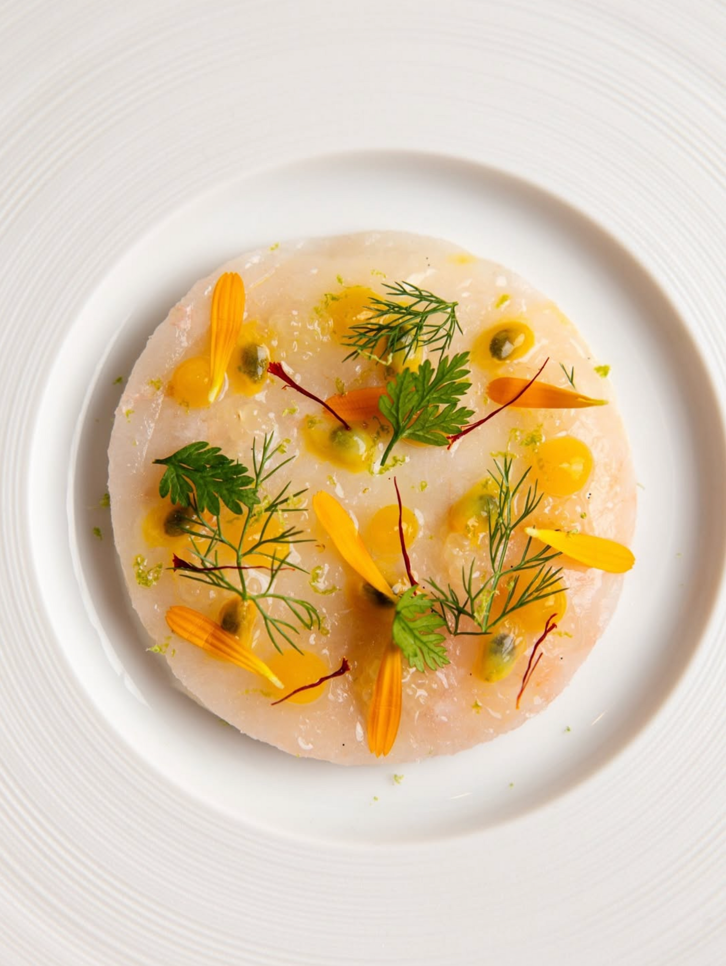 One-on-One Lunch with Chef Maxime at Parisian Hidden Gem—Gemellus