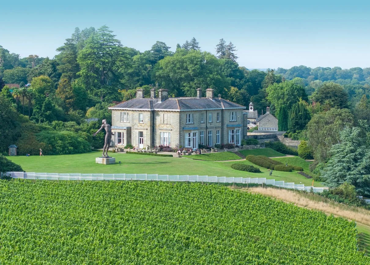 Vineyard Visit, English Sparkling Tasting, and Michelin-starred Chef’s Experience at Leonardslee Estate