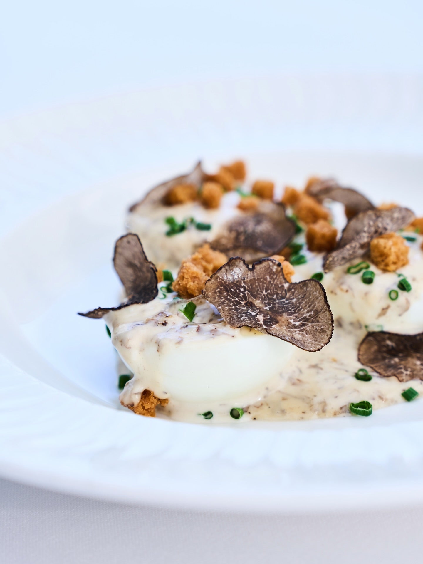 Hidden-Gem French Brasserie Chef's Tasting Menu at Odeon