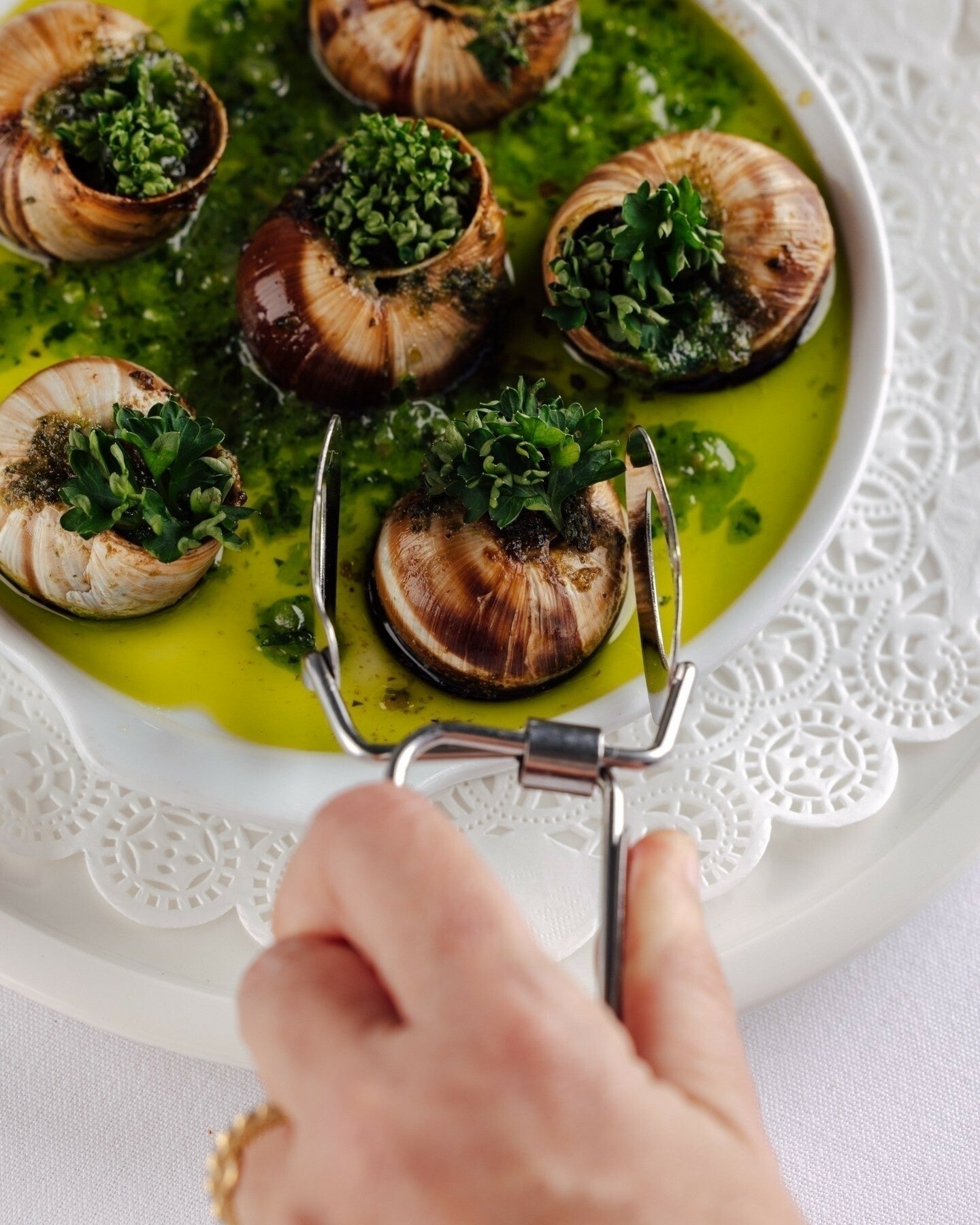 Hidden-Gem French Brasserie Chef's Tasting Menu at Odeon