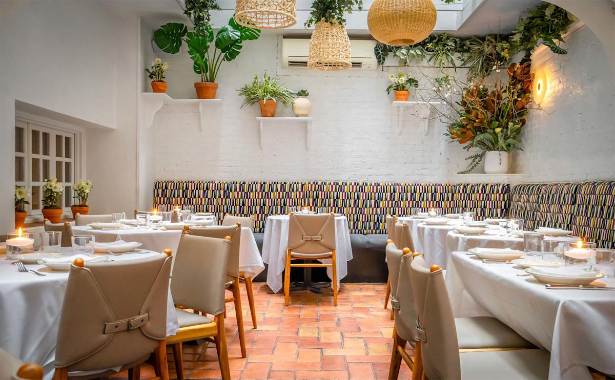 OPTO NYC: Chef's Choice Tasting Menu