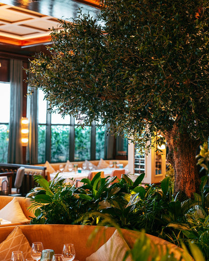 La Dolce Vita Unfolded: Aperitivo-to-Table Tasting at Signor Sassi