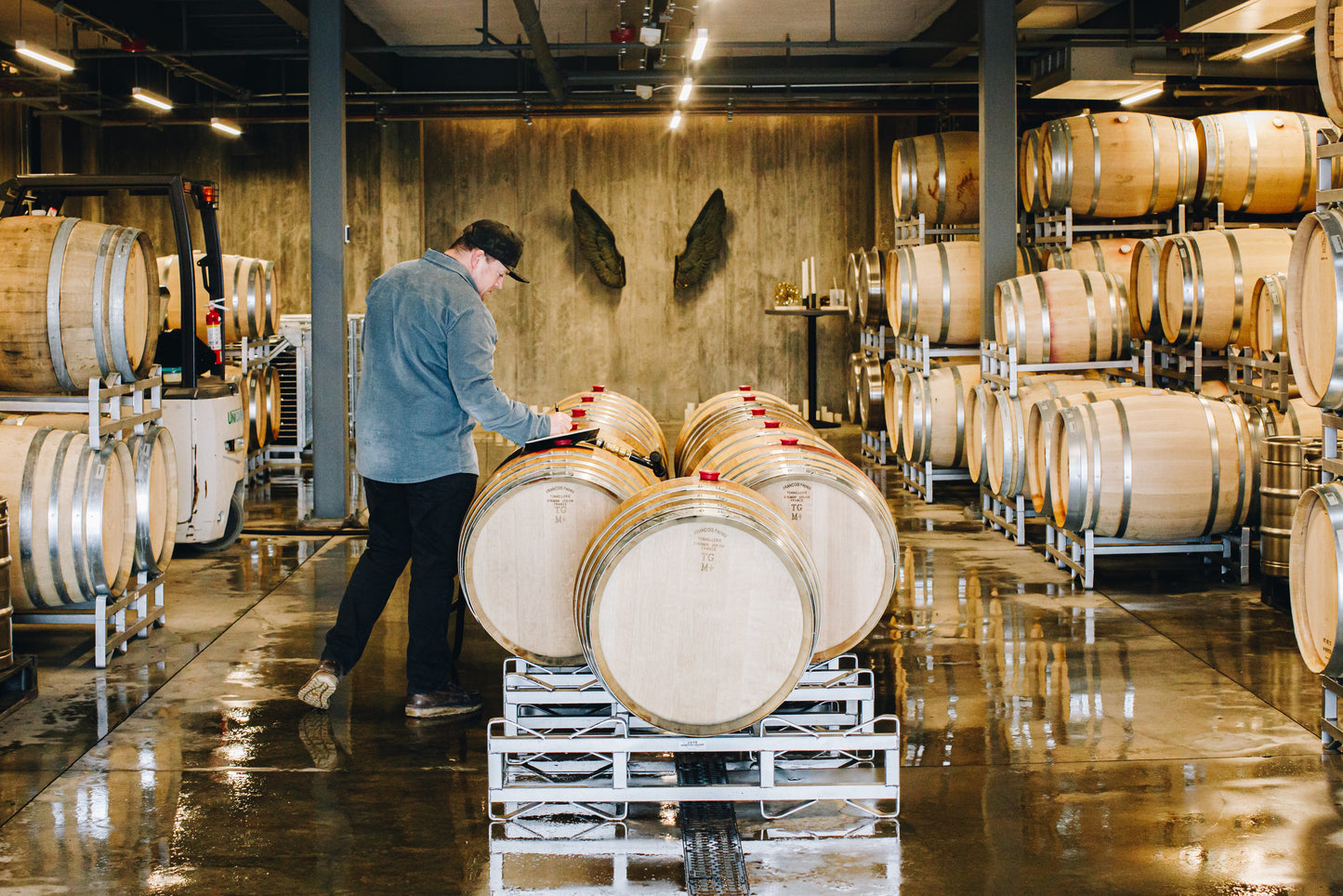 Immersive Winery Journey and Tasting at Theorem Vineyards