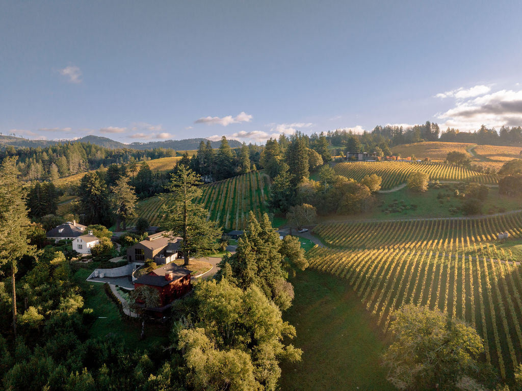 Immersive Winery Journey and Tasting at Theorem Vineyards