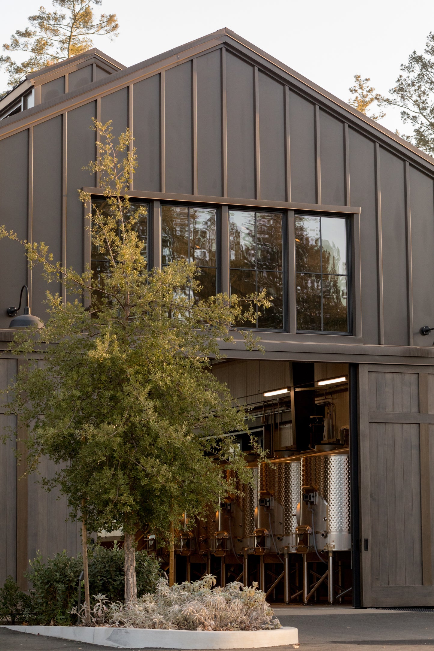 Immersive Winery Journey and Tasting at Theorem Vineyards