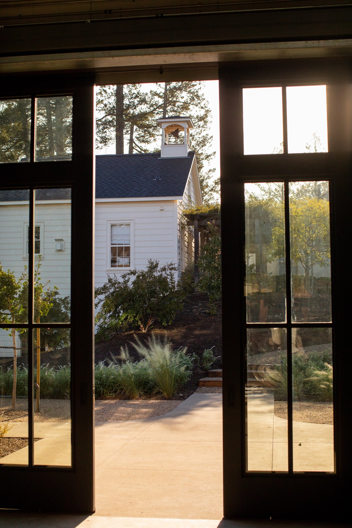 Immersive Winery Journey and Tasting at Theorem Vineyards