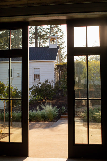 Immersive Winery Journey and Tasting at Theorem Vineyards