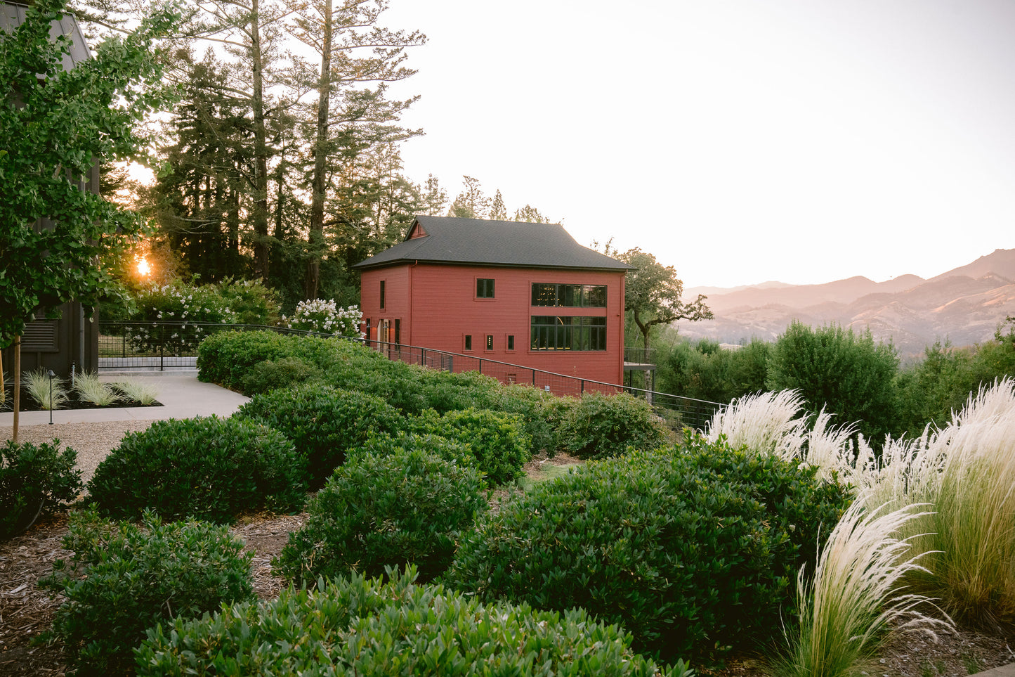 Immersive Winery Journey and Tasting at Theorem Vineyards