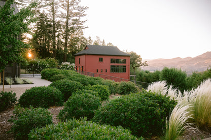 Immersive Winery Journey and Tasting at Theorem Vineyards
